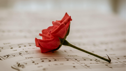 Top 10 Contemporary Funeral Songs (Updated 2025)