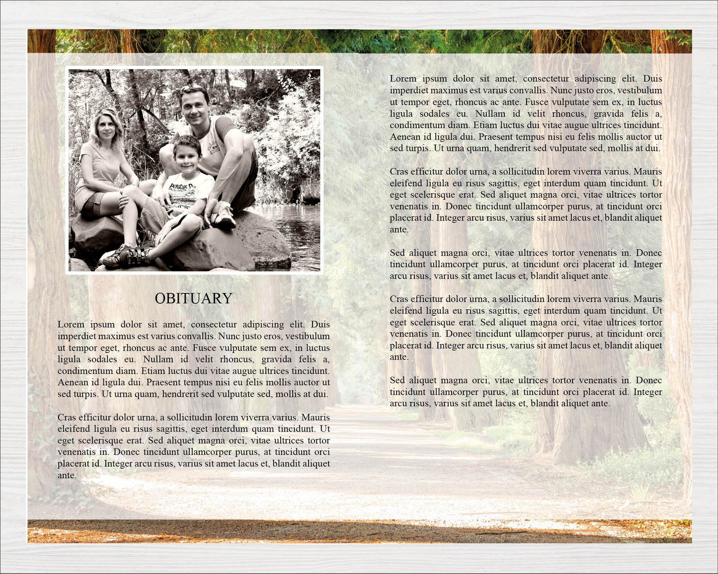 8 Page Woodland Funeral Program Template